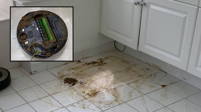 Vagabundo Resaltar Línea del sitio Man's Roomba 'Cleans' Up His Dog's Poop, Proceeds to Spread it All Over  House - Rare