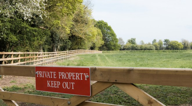 Horse Killed by Florida Man