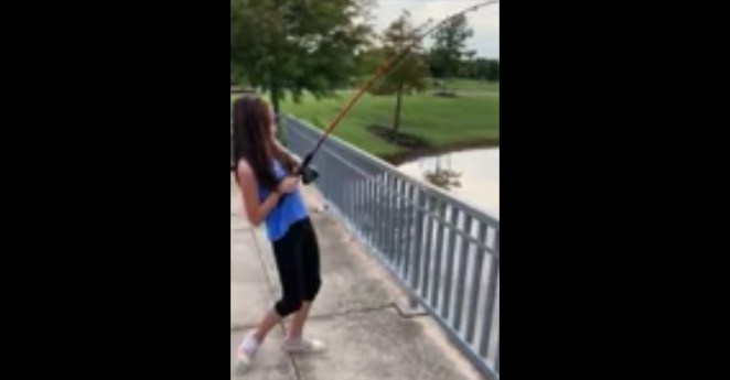 Houston Texas Gator Attack