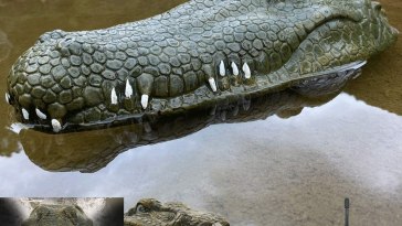 Remote Control Alligator Head Boat - Large Decoy and Floating Crocodile Head for Adults and Boys Prank Pond Toys, RC Boats for Pools and Lakes for Kids