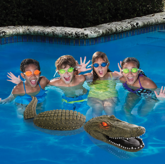 The Pool Guarding Gator