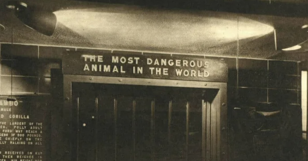 In 1963, the Bronx Zoo Had an Exhibit Called 
