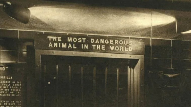 Bronx Zoo Most Dangerous Animal
