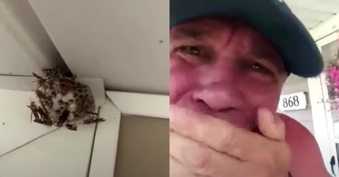 Man Eats Wasp Nest