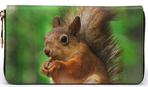 squirrel wallet