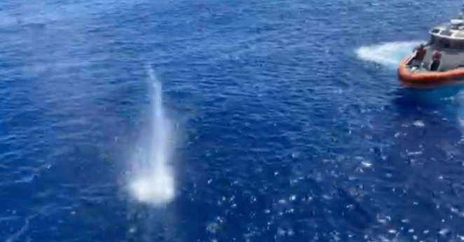 Coast Guard Shoots Shark