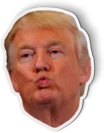 Donald Trump Face - MAGNET - Car Fridge Locker - SELECT SIZE