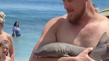 Florida Man Shark Bite Bet