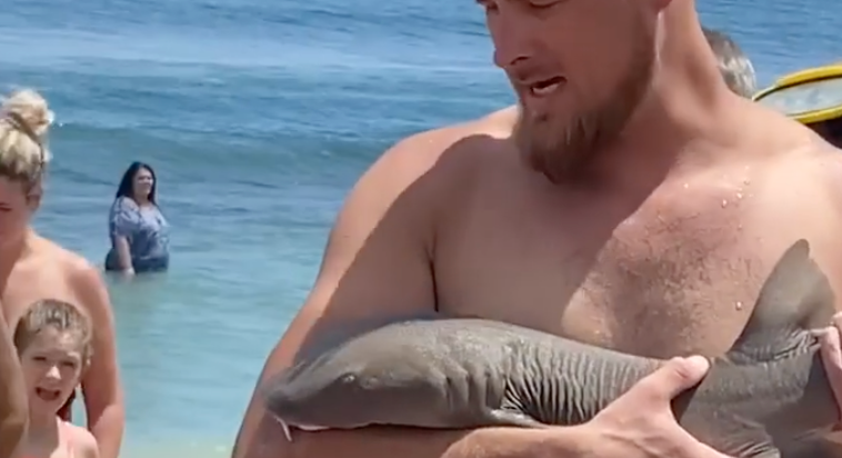Florida Man Shark Bite Bet
