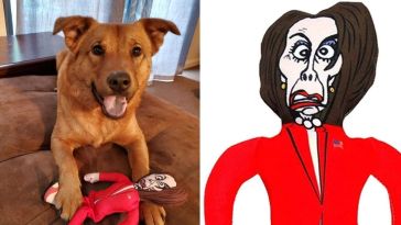 Republican Dogs Nancy Pelosi Novelty Dog Chew Toy Political Parody Doll Includes Squeaker Made with Durable Polyester Triple Stitching