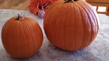 Pumpkin Carving Fail