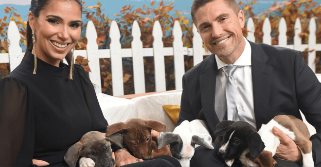 https://newsroom.ap.org/detail/2019AmericanHumaneHeroDogAwards/a4f6620f23854bc789d960b9768a7121/photo?Query=hallmark%20AND%20channel&mediaType=photo&sortBy=arrivaldatetime:desc&dateRange=Anytime&totalCount=214&currentItemNo=10