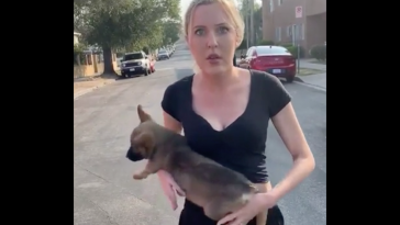 Woman Throws Puppy