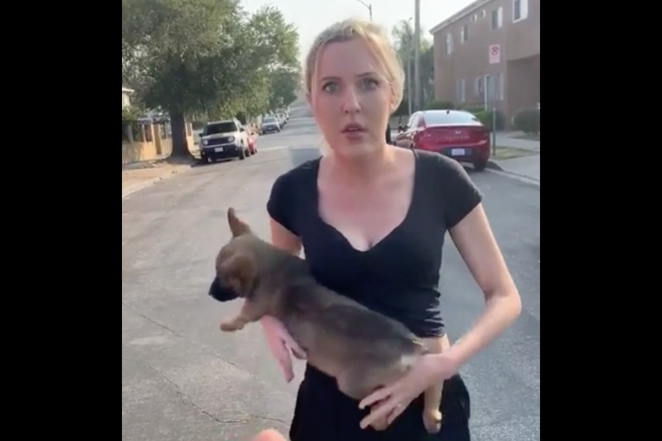 Woman Throws Puppy