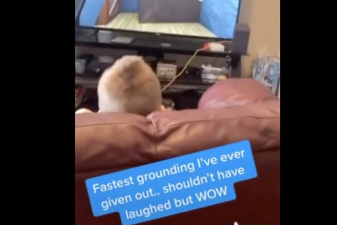 Little Boy Cursing Video Game