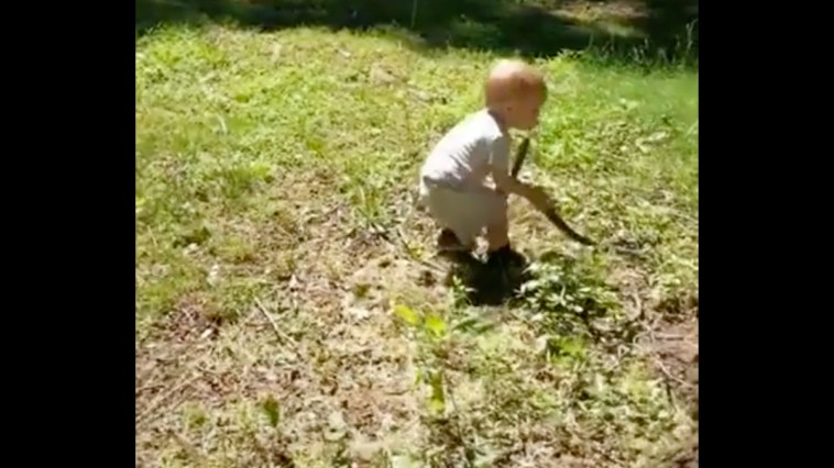 Toddler Snake Fetch