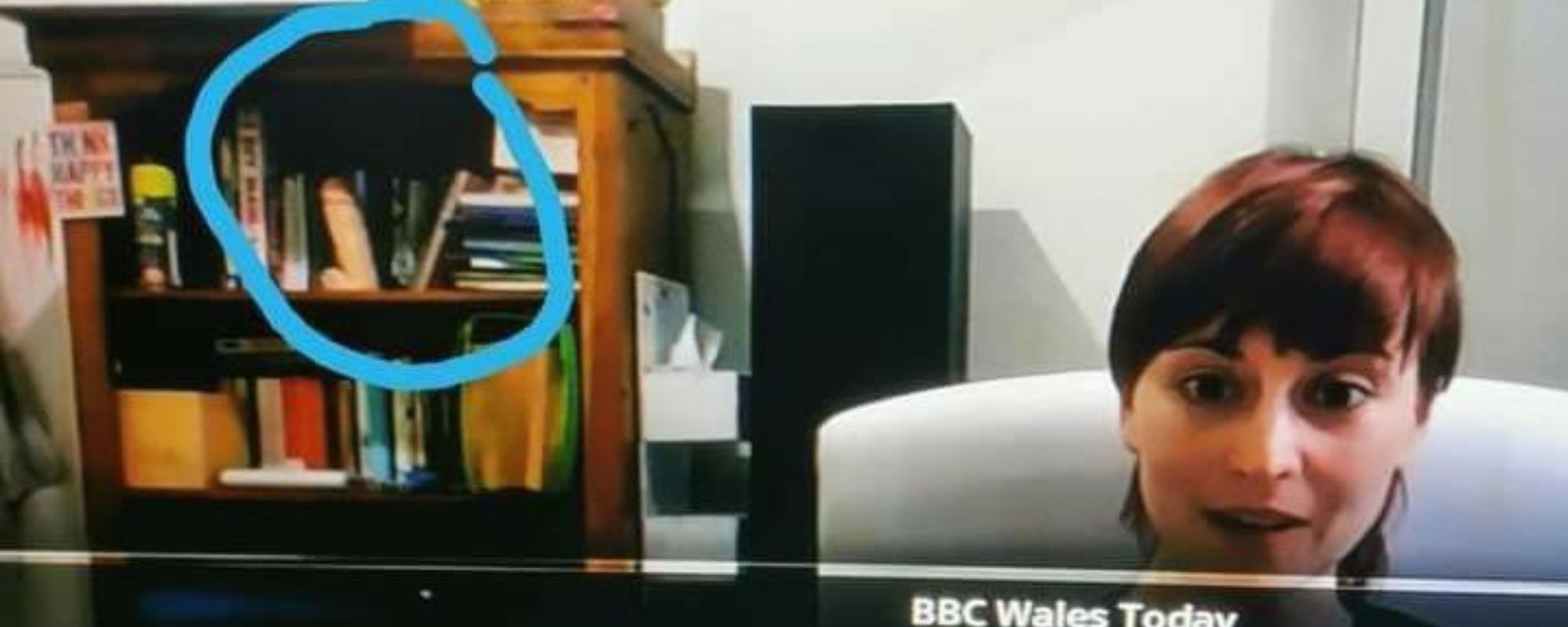 Woman Accidentally Left Her Dildo on Bookshelf During News Interview image pic