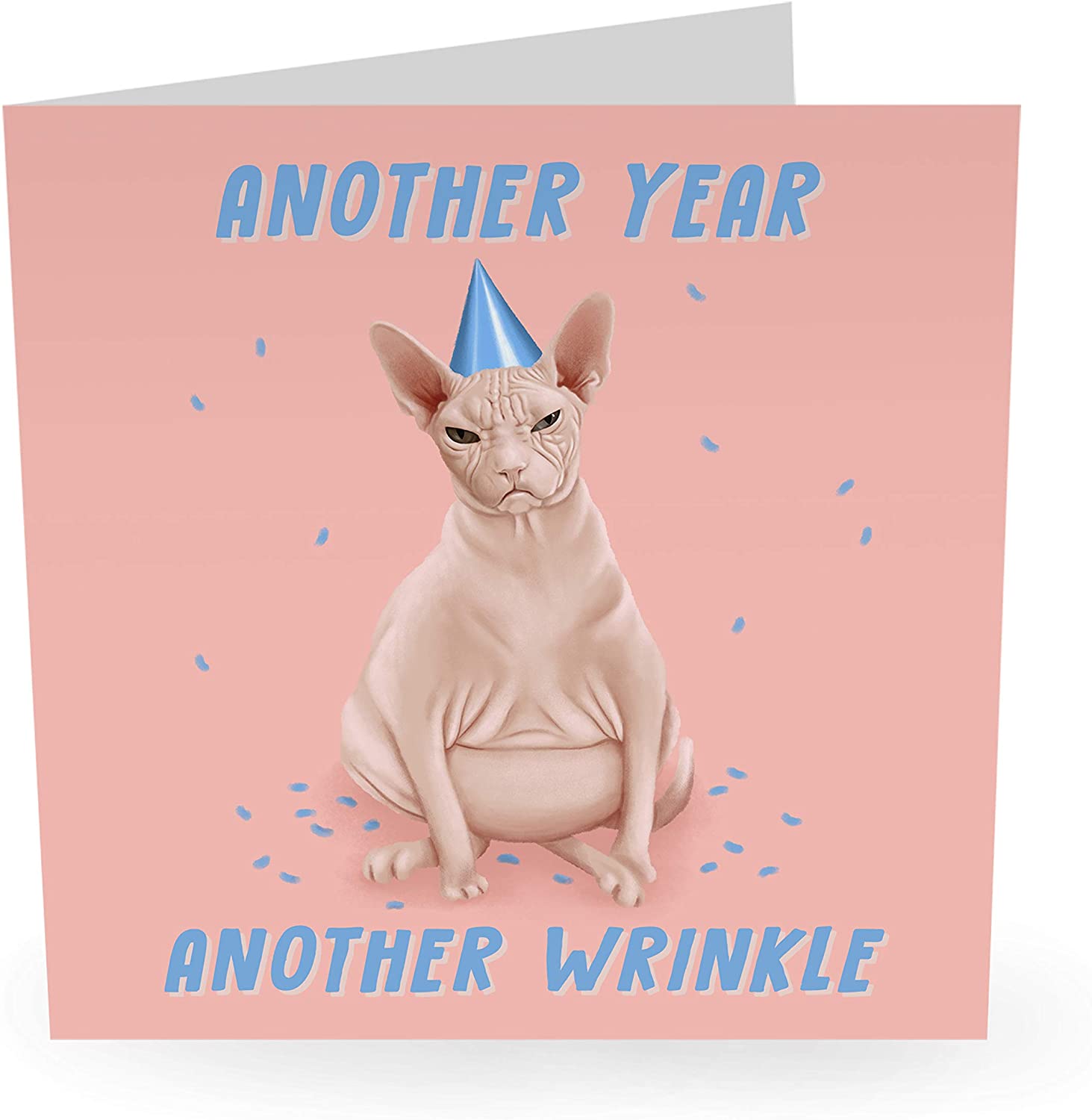 Central 23 - Funny Animal Birthday Card - “Sphynx Cat Another Year Another Wrinkle” - For Men & Women - Mom Dad Husband Wife Brother Sister 21st 25th 30th 40th 50th 60th - Comes with Fun Stickers