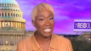 Joy Reid