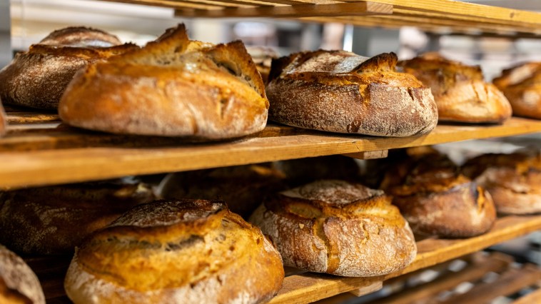 21-Year-Old Opens Bakery And Now It's Become A Viral Sensation