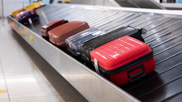 Primate & Rodent Meat Found In Someone's Luggage What's Going On