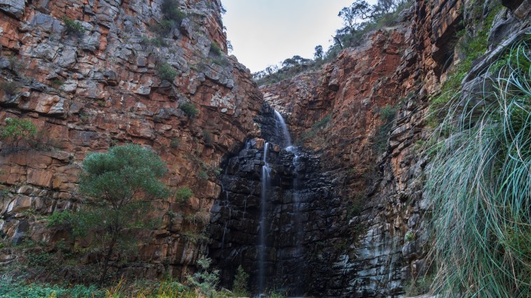 A "Passionate Environmentalist" Dies Picking Up Litter In National Park: What Led To His Death