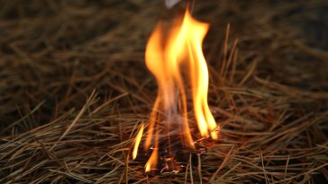 Orlando Family Feud Leads To A Fire And Arson Charges: All The Major Details