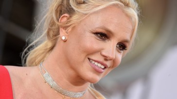 Britney Spears Breaks Silence After Criticism About Dog Poop Covered Mansion