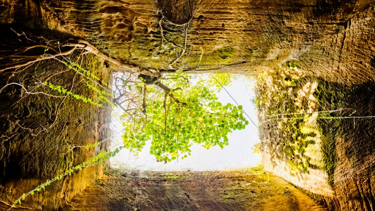 Man Digs Cave Under Major Highway, Lands Himself In Trouble