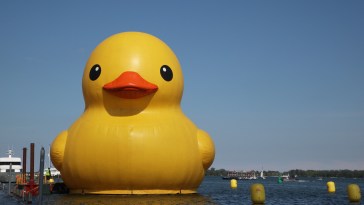 Prepare Your Bodies, The World's Largest Rubber Duck Made Its Appearance In Chicago