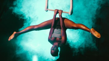 Trapeze Artist Falls And Dies During Performance