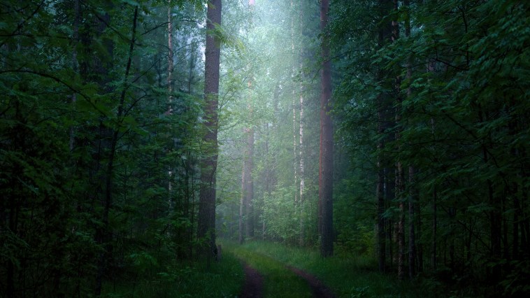 Jacksonville Mom Reported Missing For Second Time Within A Single Month