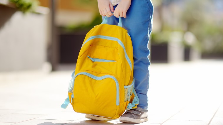 Rhode Island Elementary School Worker Charged After Allegedly Biting Student Who Threw Paint In Class