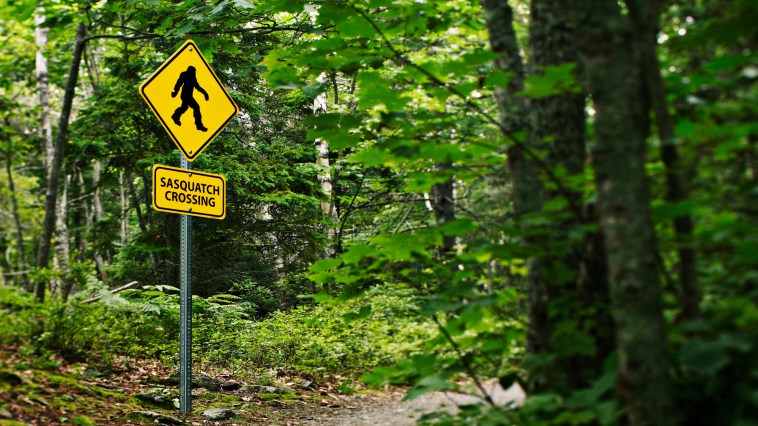 Did You Know There's A Sasquatch Calling Contest? Well, A 7 Year Old Just Won It