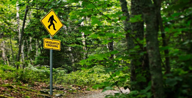 Did You Know There's A Sasquatch Calling Contest? Well, A 7 Year Old Just Won It