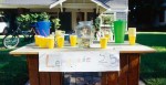 12-Year-Old Selling Lemonade So She Can Raise Money To Walk For THE FIRST TIME