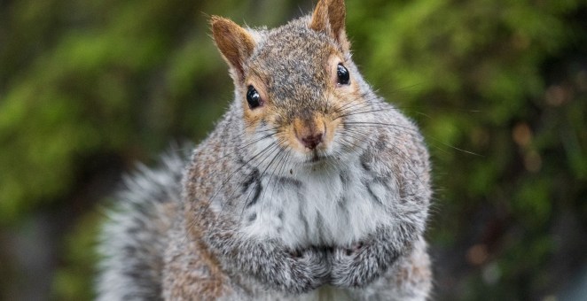 17-Year-Old Teen Dies In Tragic Hunting Accident After Being Mistaken For Squirrel