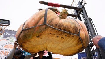 California Farmer Blows Competition Out Of The Pumpkin Patch With Gourd Weighing Over 2,000 Pounds