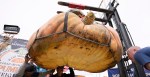 California Farmer Blows Competition Out Of The Pumpkin Patch With Gourd Weighing Over 2,000 Pounds