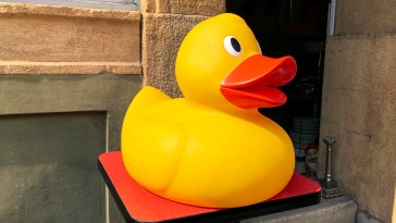 Candy Store Places Thousands Of Rubber Ducks Around Town, Kicking Off Mystery
