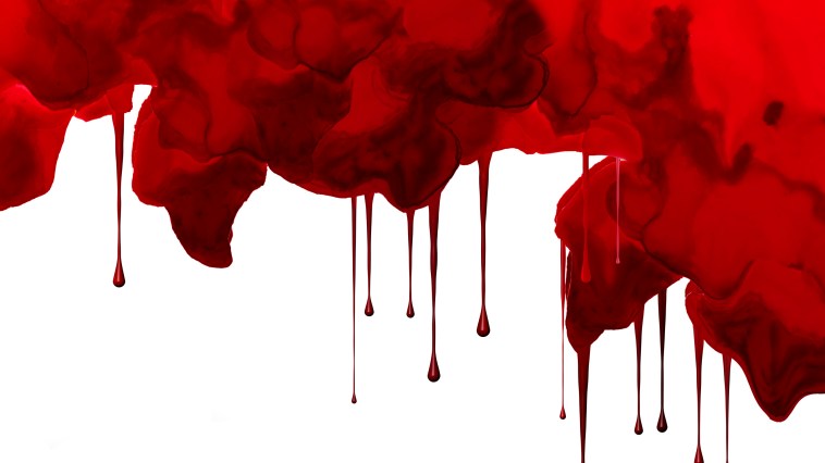 Climate Activists Ruin Historic Painting Of Christopher Columbus With Red Paint