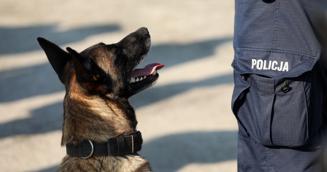 K9 Fame- Police Dog Helps Authorities Locate Two Missing Children In Indiana's Hoosier National Forest