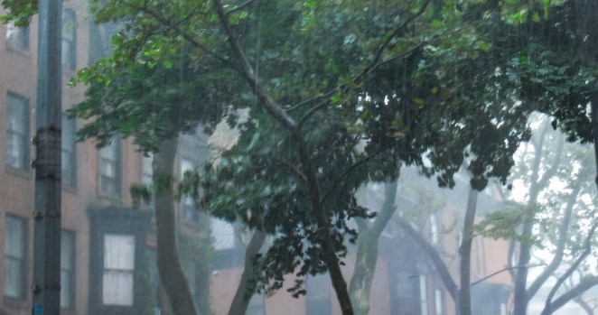 Meteorologists warn East Coast to be hit with high winds and heavy rain