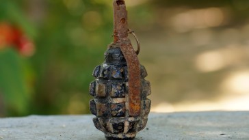 The Terrifying Thing A 3-Year-Old Found Buried In Washington