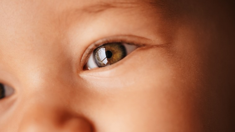 This Baby Is So Big That The Internet Has Accused Him Of Being AI-Generated