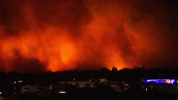 Florida Uber Driver Charged With Starting Deadly Palisades Fire, Allegedly Created Image Of Burning Forest Using AI Months Prior