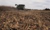 Ethanols Environmental Damage Illinois