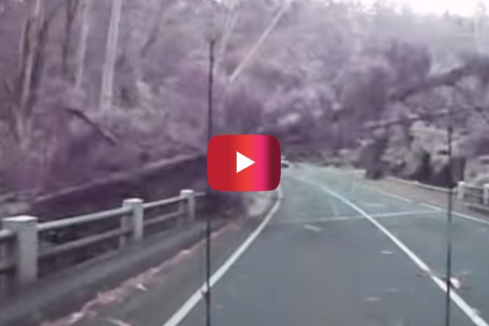 Watch as trees fall like dominoes on the road and miss a driver by THIS much