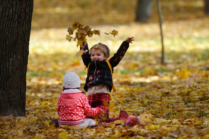 10 things to do with falling fall foliage