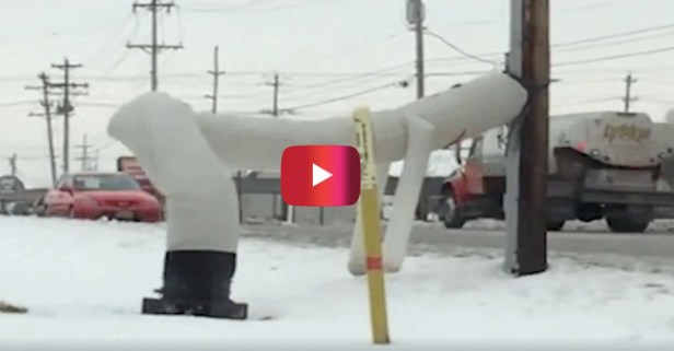 If you’re all about having a good time, take some notes from this wacky, waving, inflatable arm-flailing tube man